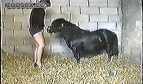 Ok google redtube moreninha gostosa faz muita teso no cara ao ficar peladinha e bater uma punheta até ele gozar que nem um cavalo nela toda - pónei,sexo de cachorro