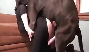 Ok google redtube moreninha gostosa faz muita teso no cara ao ficar peladinha e bater uma punheta até ele gozar que nem um cavalo nela toda - sexo de cachorro,sexo foda animal
